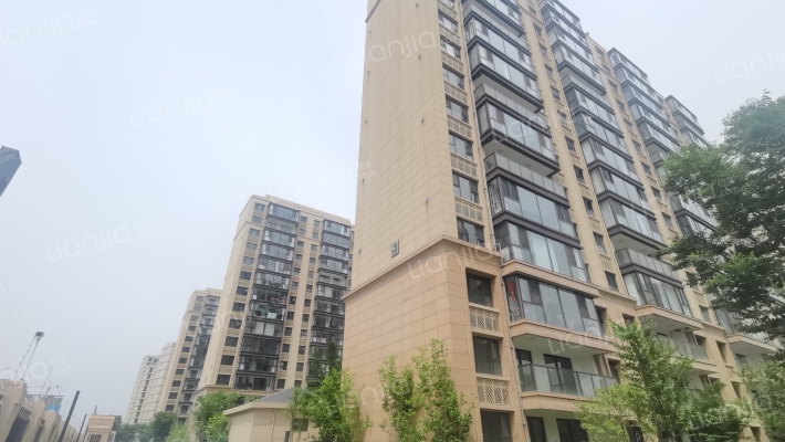 金厦阳光春晓外景图