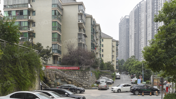 柠檬丽都外景图