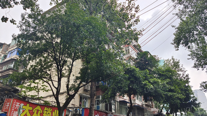 鼓楼北四街30号外景图