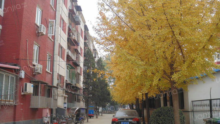 东方生活区外景图