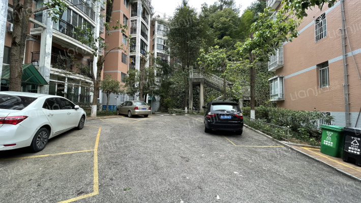 中天花园竹园外景图