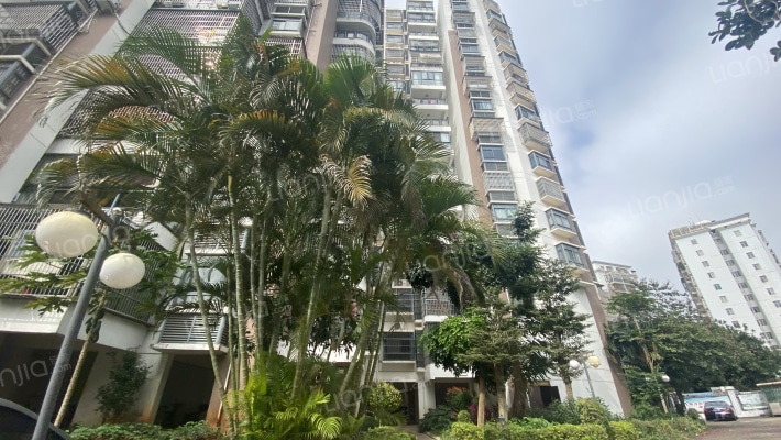 龙腾随园外景图