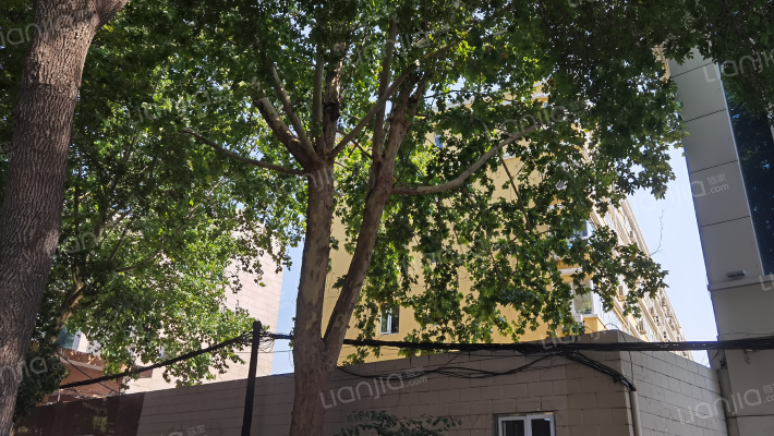 红军大街19号外景图