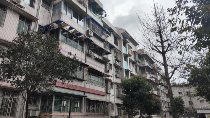 青电花园外景图