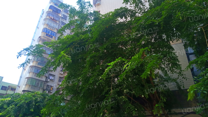 中湘公寓外景图