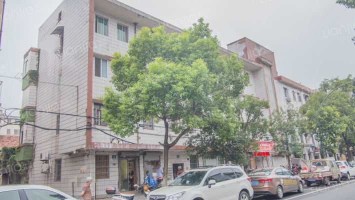 青春路191号外景图