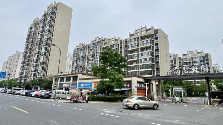 碧桂园天玺外景图