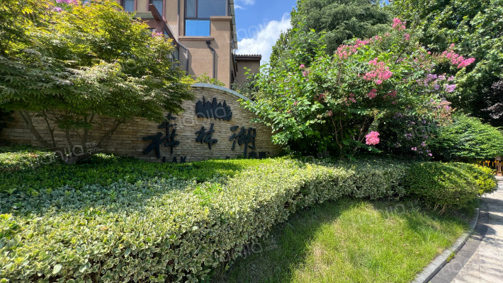 中信森林湖翡翠湾外景图