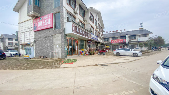 紫蓬社区商业街外景图