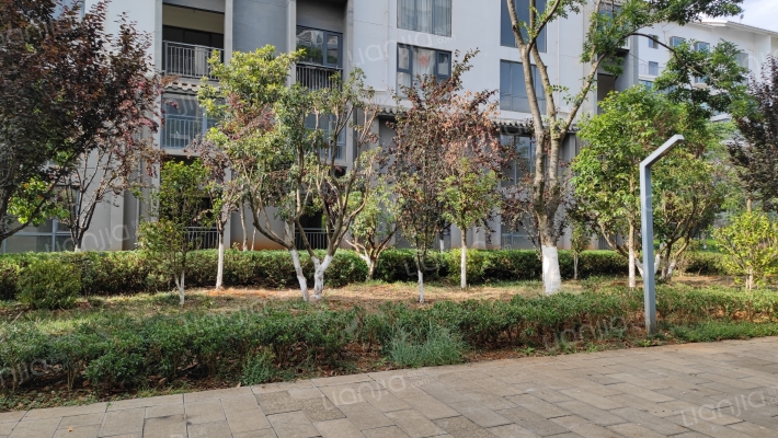 航空艺术港外景图