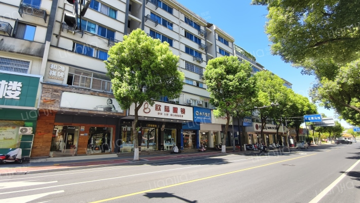 中镇庙巷外景图