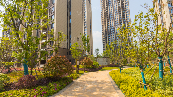 岱家山庄外景图