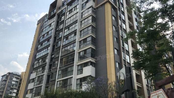 樱花语阳光里外景图