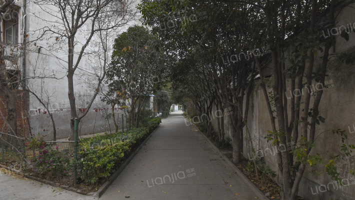 建设路小学家属院外景图