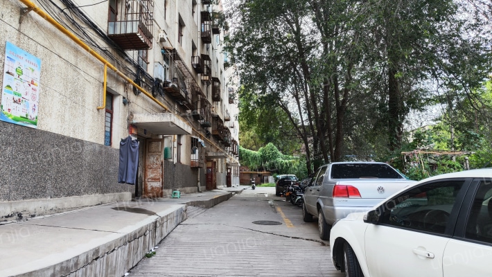 西北合成制药厂家属院外景图