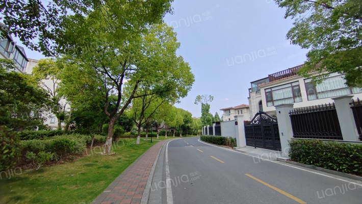 九龙湖别墅外景图