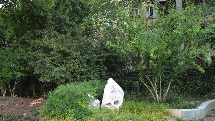 石头城79号外景图