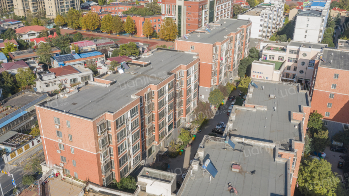 快乐一家外景图