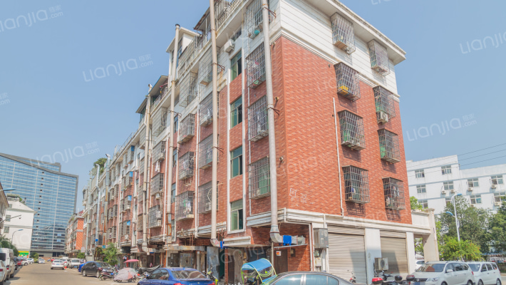 黄杨梅二区外景图