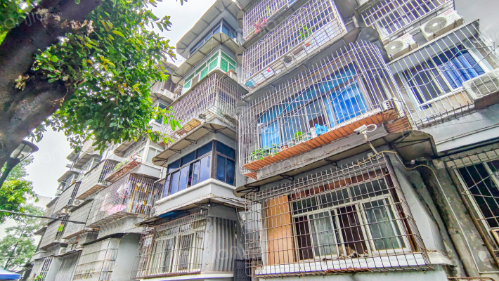 科园六路外景图