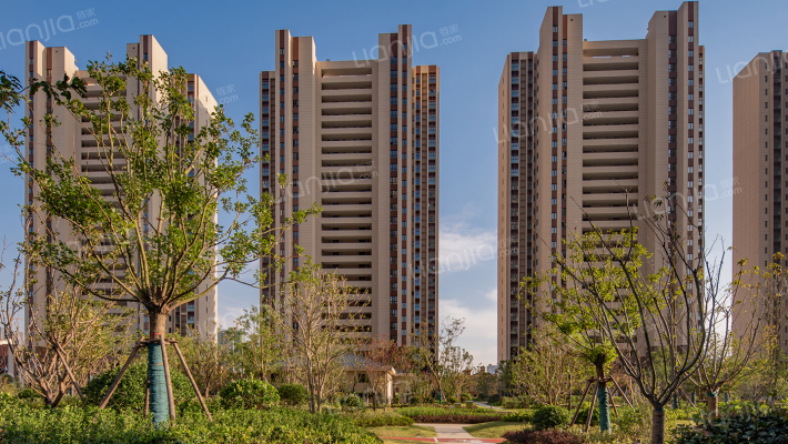 中南江滨悦外景图