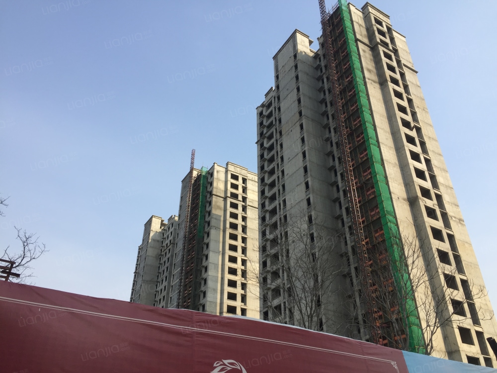 石家庄新房 石家庄楼盘 栾城楼盘 淳茂公园城 淳茂公园城相册上一分类