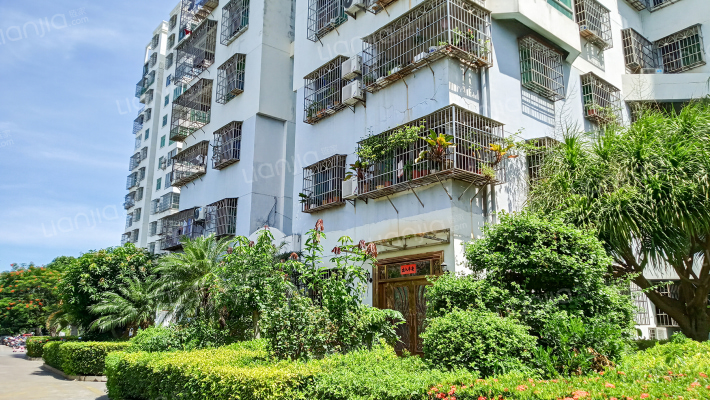 花城锦苑外景图