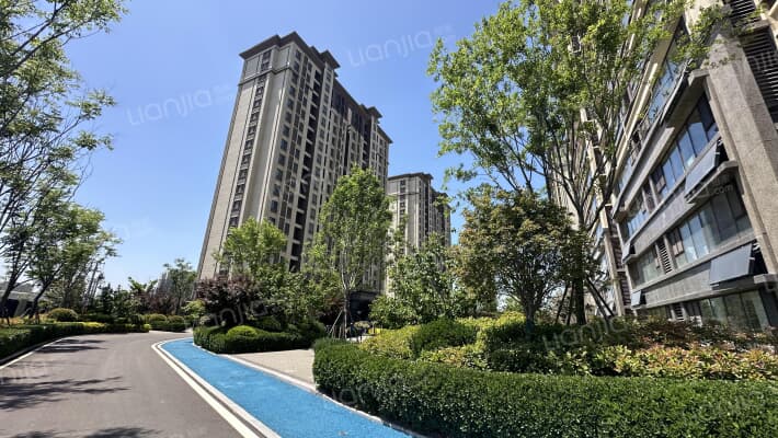 天骄一品外景图