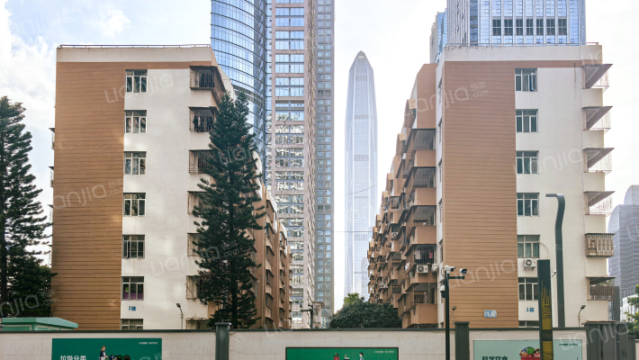 金田新村外景图