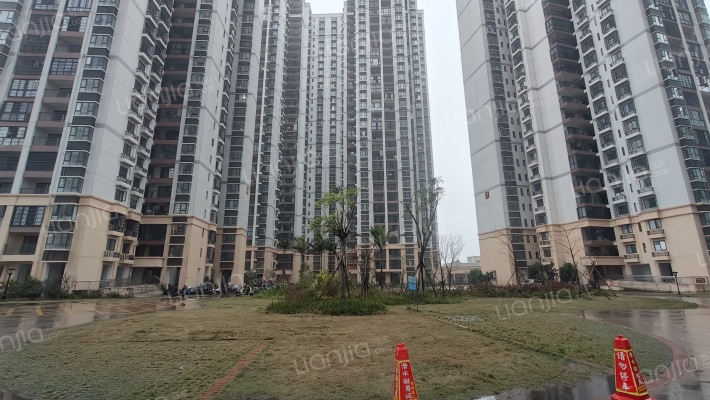 白沙坊金龙苑外景图