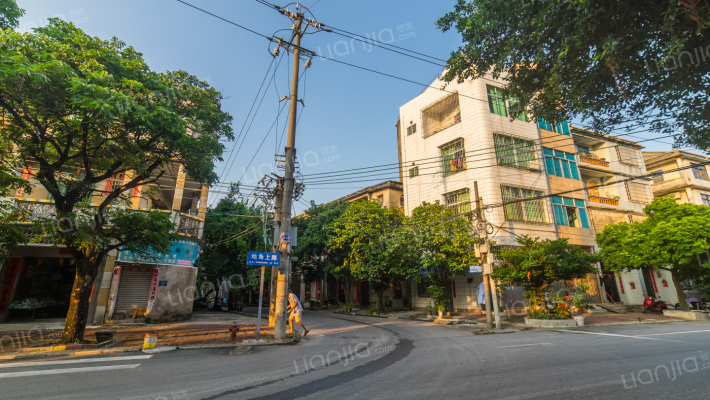 地角中寮239号外景图