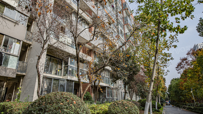 家天下一期外景图