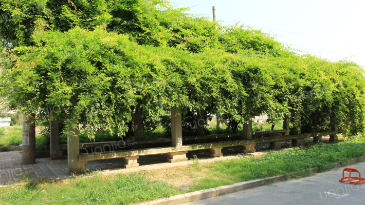 四方新村六村外景图