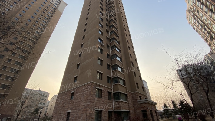 丽水金阳外景图