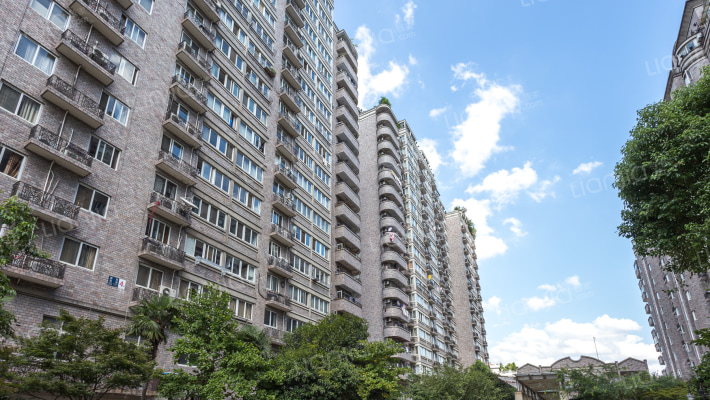 湖景中央花园外景图