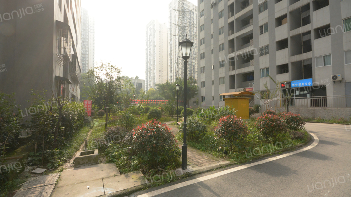 辅仁小区外景图