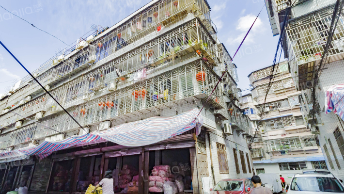 茶花社区外景图