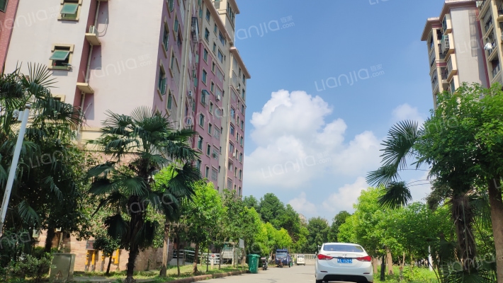 文昌街53号外景图