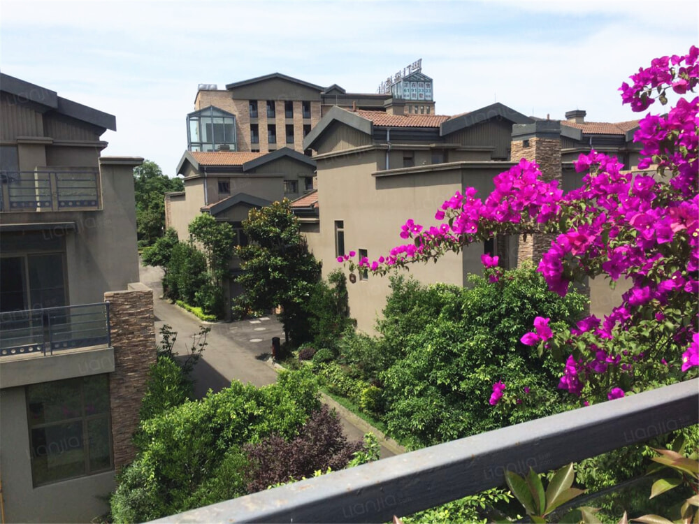 瑞升橄榄山相册