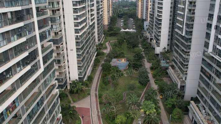 金地海南自在城丁香苑外景图