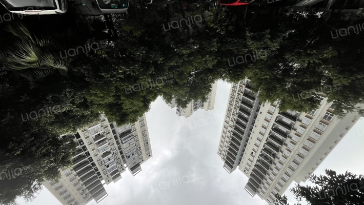 康田夏歌园外景图