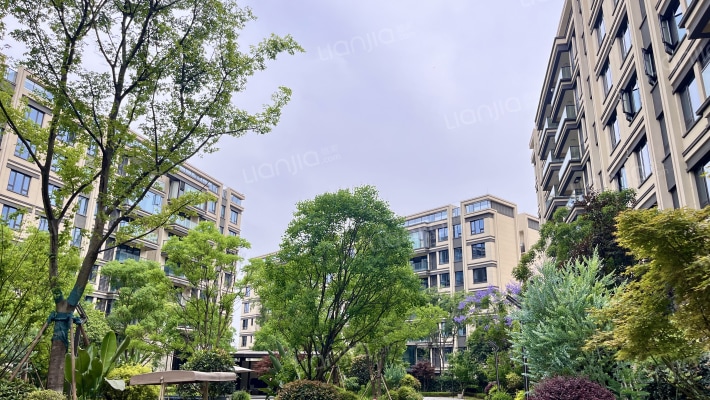 学宸名著S2组团外景图