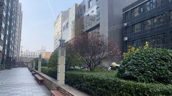 海南金湾外景图