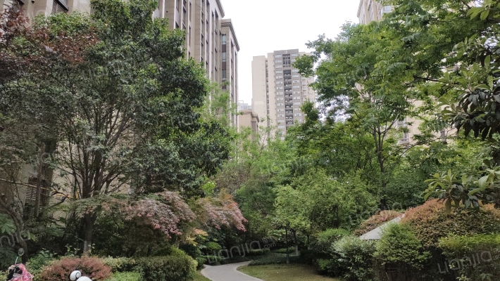 鼎正中央领郡外景图