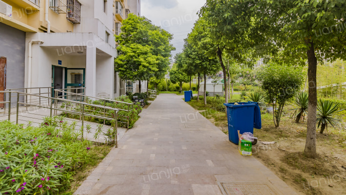 丽岛新苑外景图