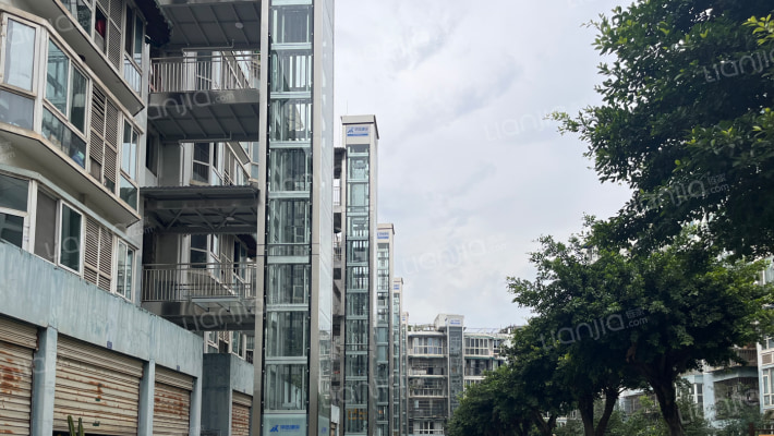 龙井桂苑外景图