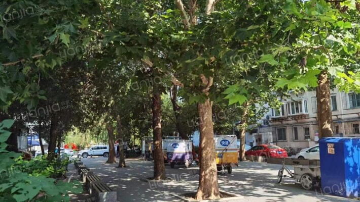 慧忠里C区外景图