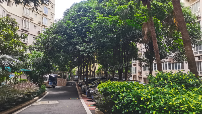 竹苑小区外景图