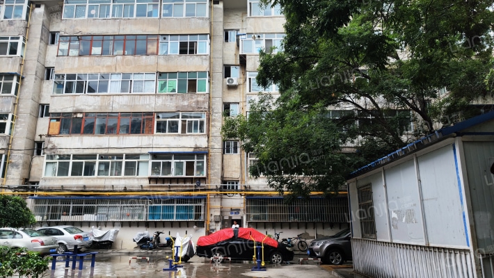 棉毯厂家属院外景图