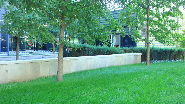 嘉林花园外景图